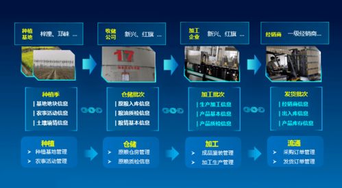 科技賦能，守護“天府糧倉”——川糧集團以全產業鏈云碼溯源引領糧油質量安全新標桿